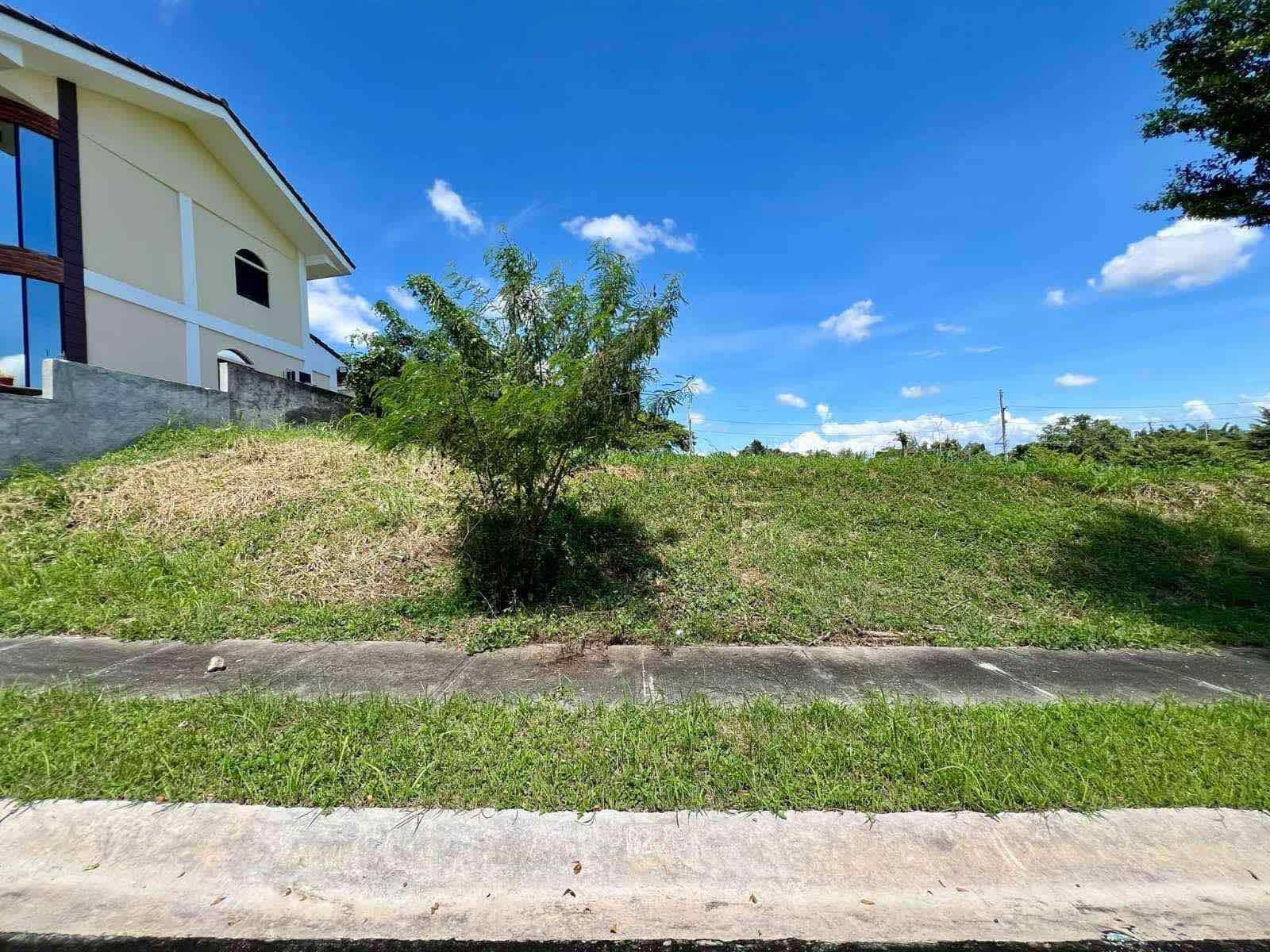 property-6