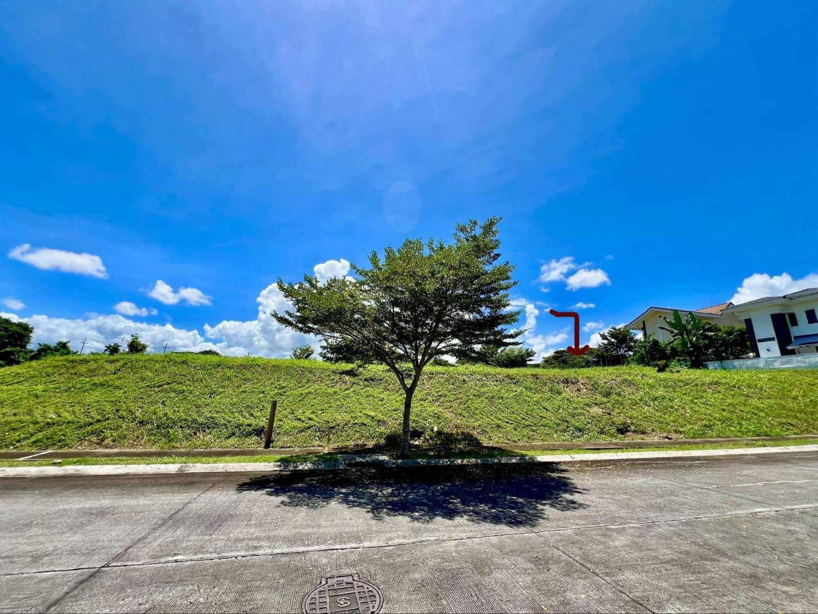 property-1