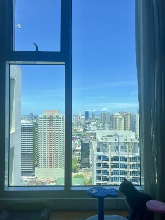 property-8