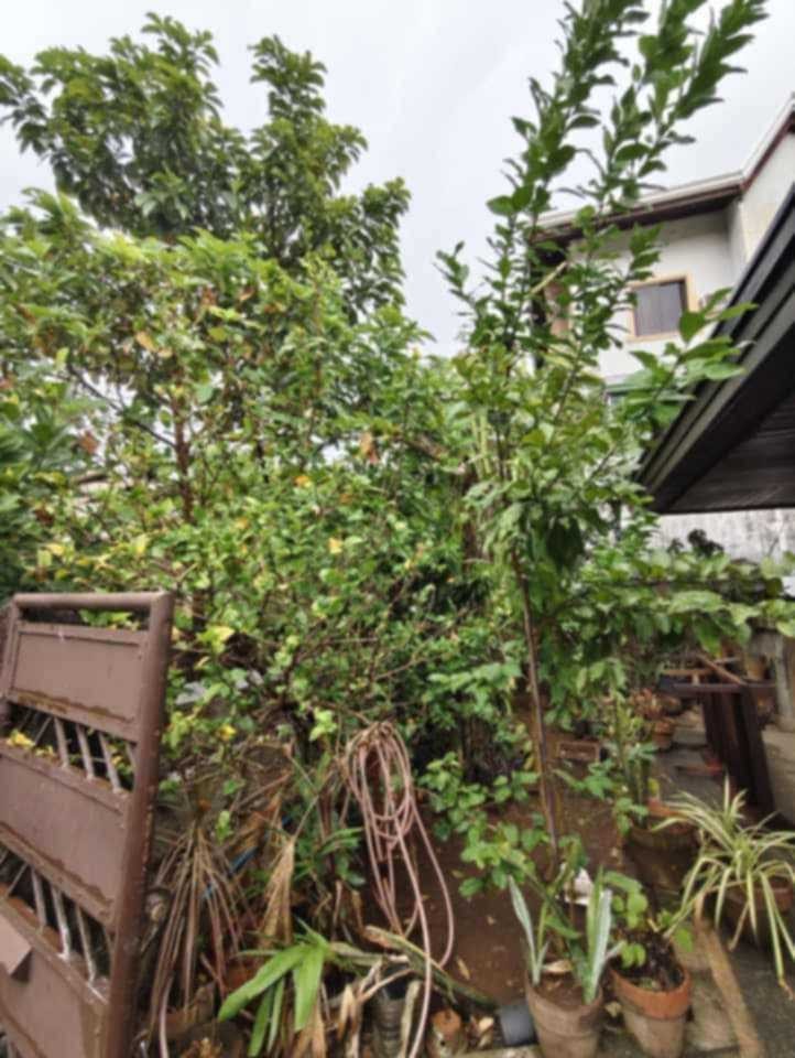 property-3