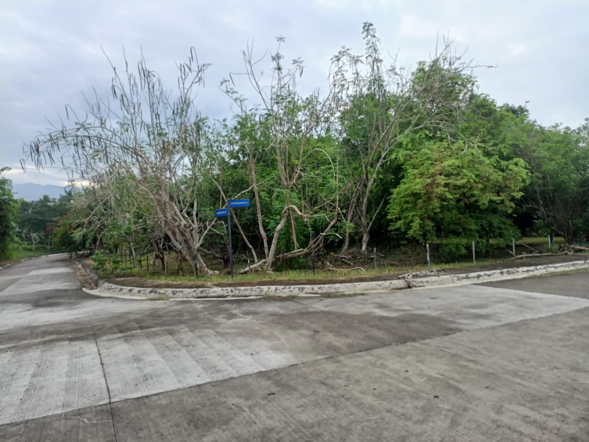 property-5