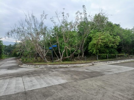 property-5