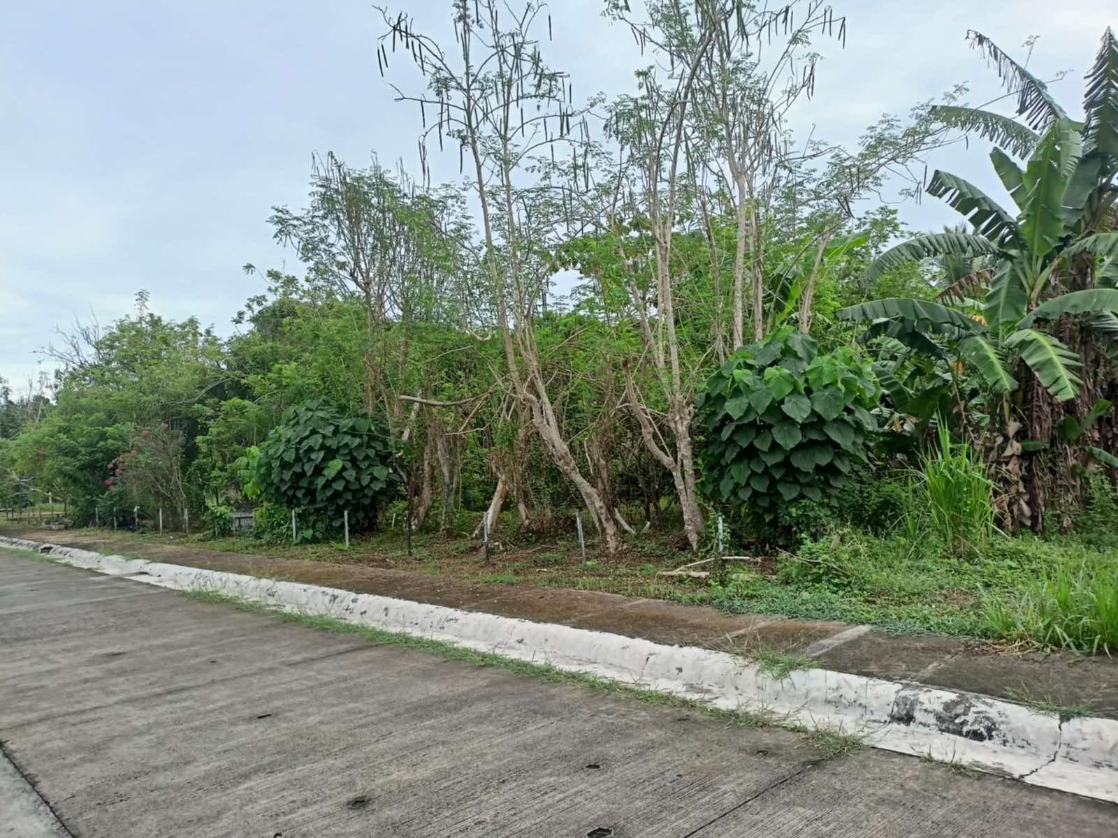 property-4