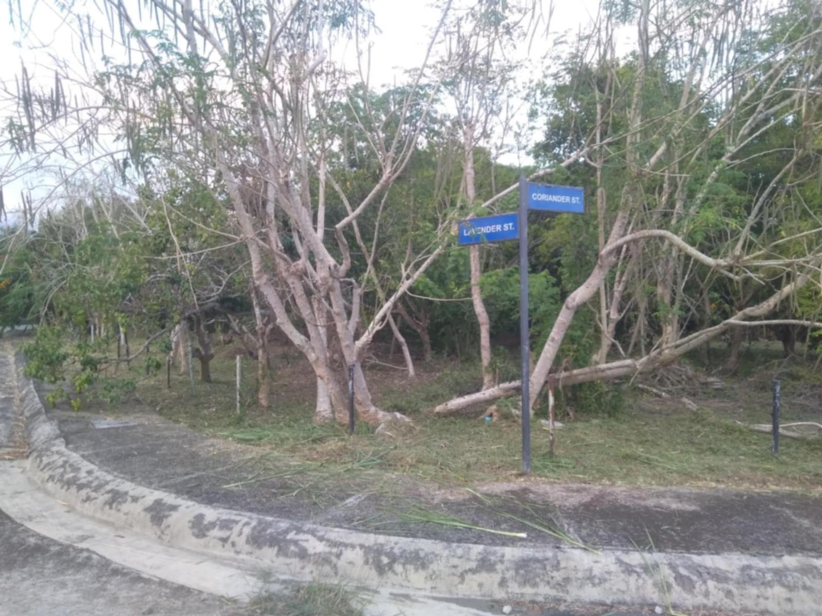 property-1