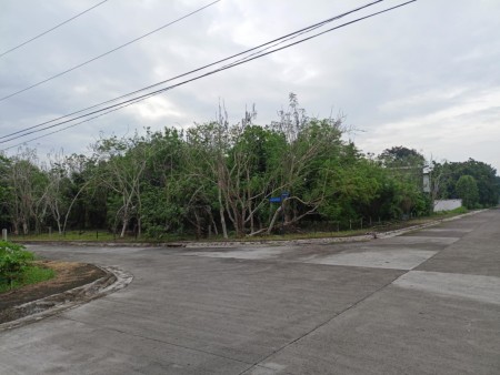 property-3