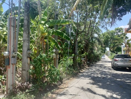 property-3