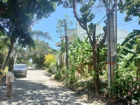 property-1