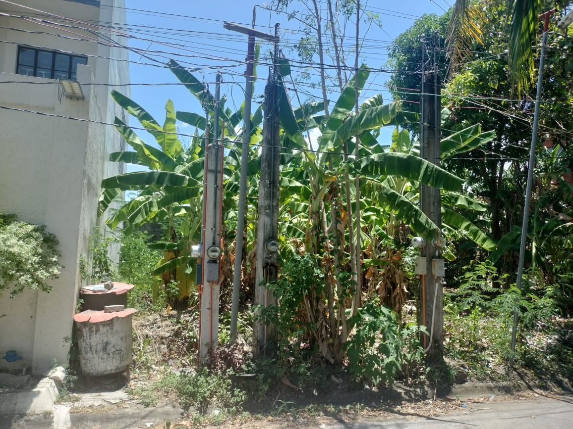 property-4