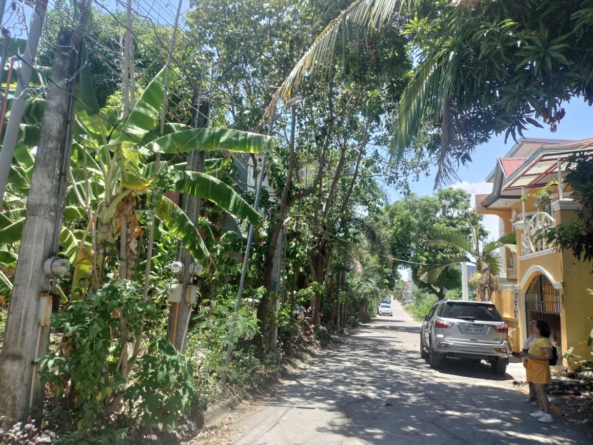 property-2